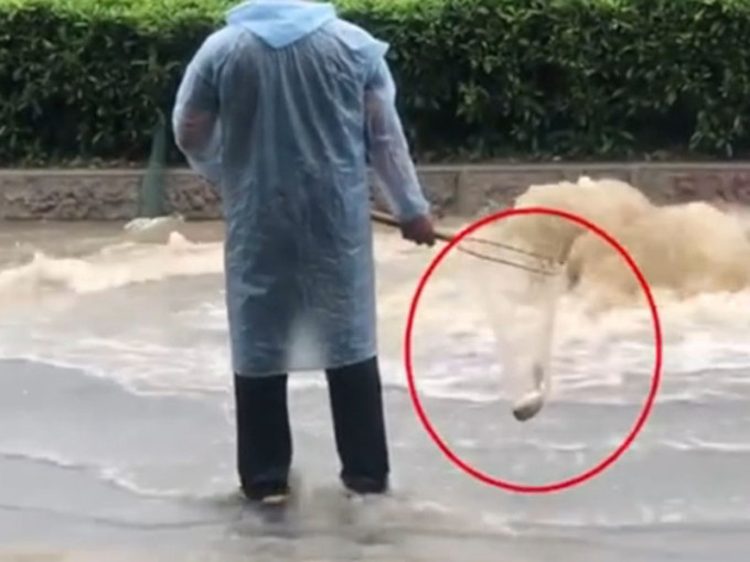 廣州暴雨後街頭被水淹沒，有路人當街撈魚。(網圖)