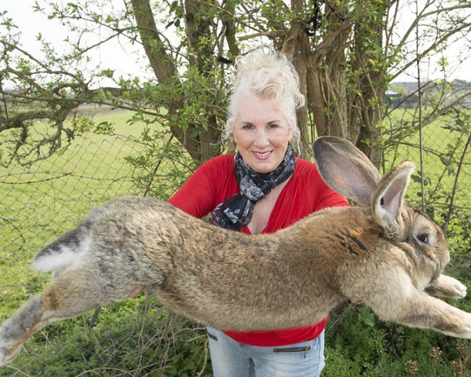 死去的巨兔名叫「西門」，其父親「達賴厄斯」是全球最巨型的兔子。
