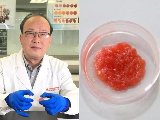 南京農業大學教授周光宏率領研究團隊，成功製造出全國首塊由動物幹細胞擴增、培養出的人造肉。(網圖)