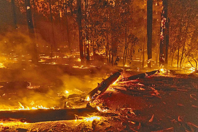 科學家指隨着氣候變化，未來山火會更頻密發生。圖為加州山火。