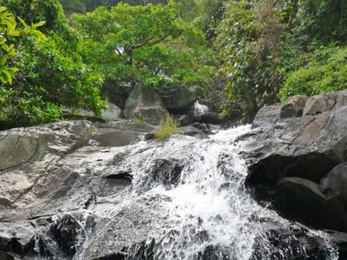 將軍澳一名女子遊小夏威夷徑瀑布附近山徑時失足跌落瀑布後一度失蹤。網圖（示意圖）