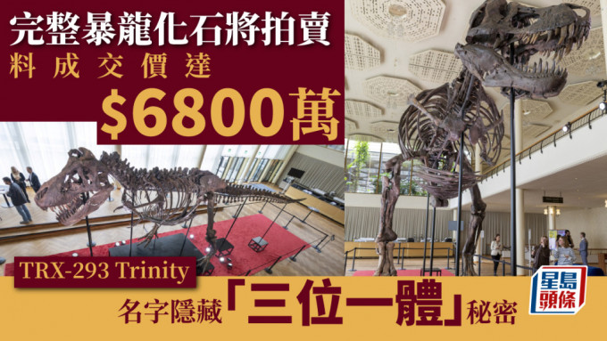 6700万年历史暴龙化石4月拍卖，估值6800万港元。 路透