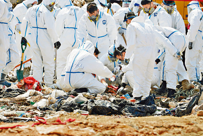 警方動員過百人在打鼓嶺堆填區搜尋蔡天鳳的遺體。