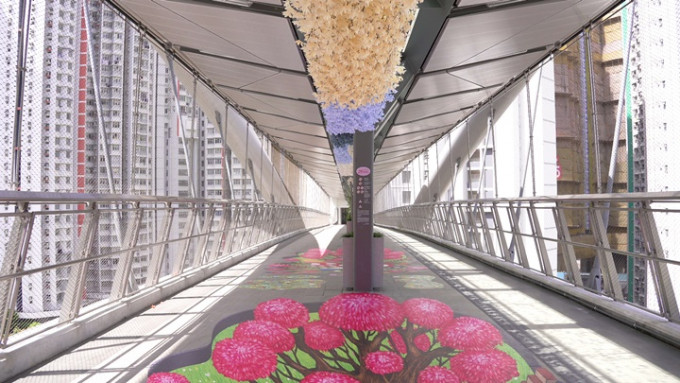 青年议会及海盈居民会等将连接西九龙公路及连翔道的「世纪天桥」塑造成花桥。