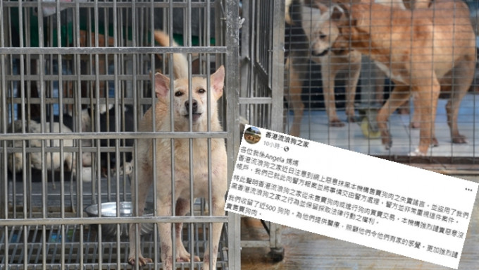 香港流浪狗之家發帖，稱與賣狗肉事件無關。