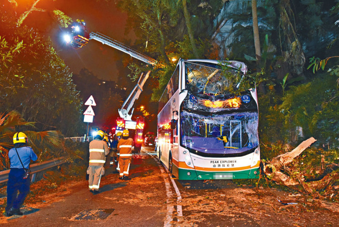 巴士遭大树击中，消防检查其他大树是否有即时危险。