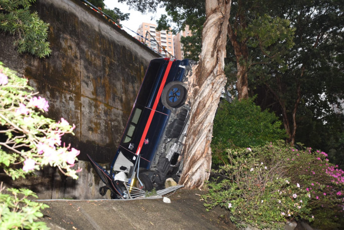 客貨車晾在樹上。