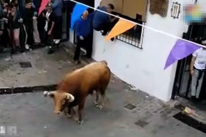 西班牙南部安达卢西亚举行一项奔牛节活动期间发生悲剧。　网上图片