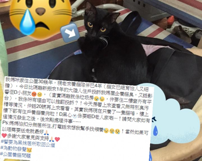 公屋养猫被邻居投诉。网民LinglingOi Ling Lee图