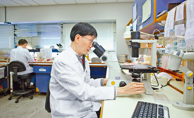 港大教授袁國勇指，分離變種病毒是展開對變種病毒緊急研究的第一步。
