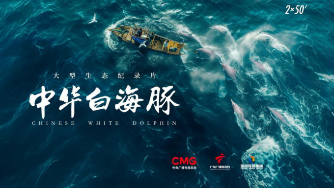 央视纪录片《中华白海豚》即将在港澳推出