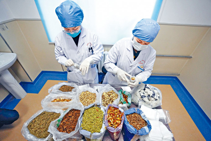 哈尔滨医务人员以中药协助抗疫。　
