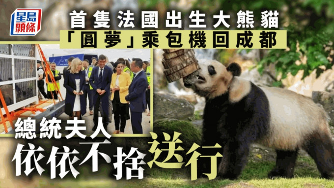 卢沙野大使与法国总统夫人布丽吉特一同为旅法大熊猫「圆梦」送行。