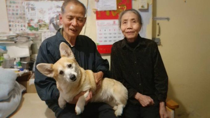 網民形容，狗狗Money「對劉伯伯一家不止是寵物，更是他們互相支持了11年的生命伴侶」。