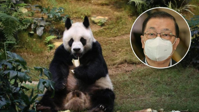 社会|谭耀宗：相信中央愿意再向香港赠送大熊猫
