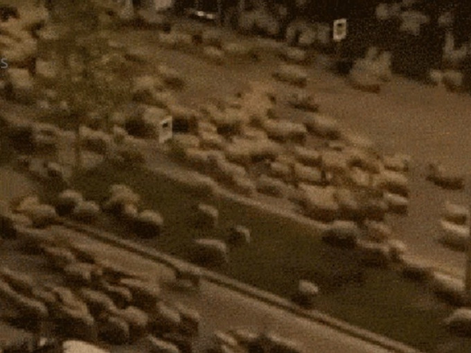 数百只羊咩涌入街道霸占了整修马路。网图