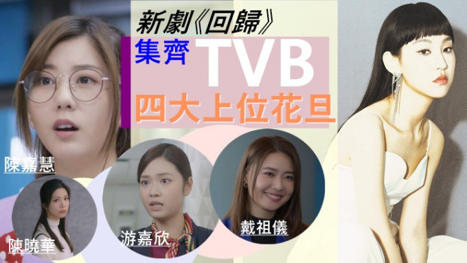 新剧《回归》起用TVB新生代四大上位花旦。