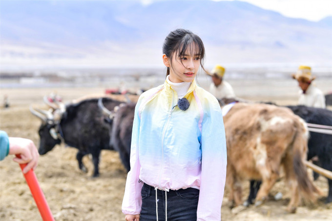 Angelababy以公益大使身份走進平均海拔4000米以上的西藏自治區日喀則。