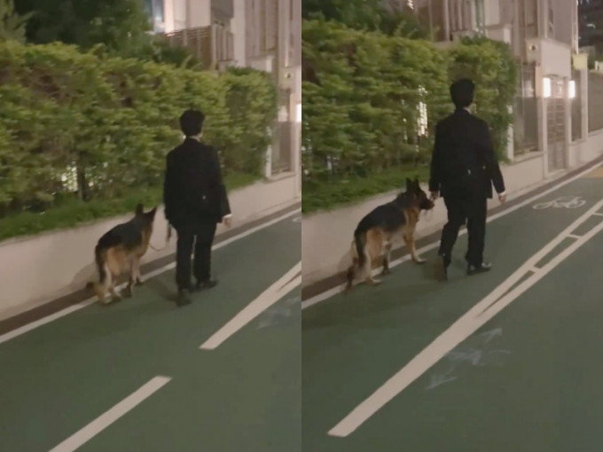 巡逻犬走路疑「拐下拐下」。猫猫狗狗保护及领养区(香港)FB影片截图