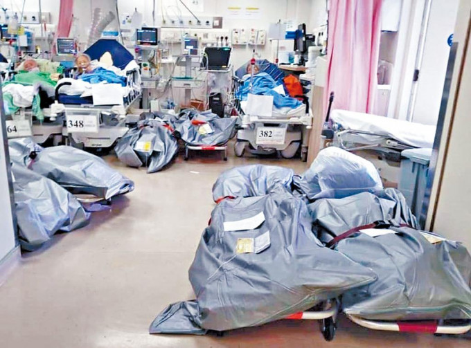 网上流传一张图片，怀疑是伊利沙伯医院的病房存放大量遗体。
