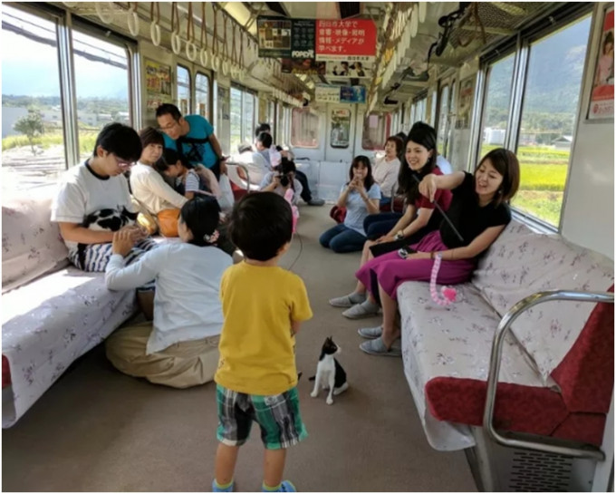 乘客一邊享受火車旅程及嘆咖啡，一邊與可愛的貓貓玩耍和拍照。網圖