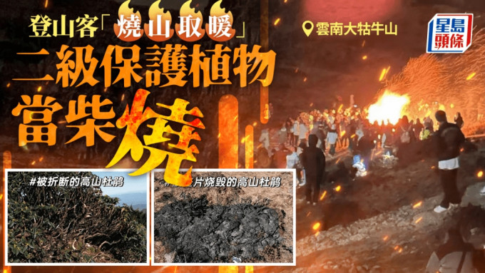 无品游客︱夜爬云南大牯牛山「烧山」取暖 12人被处罚