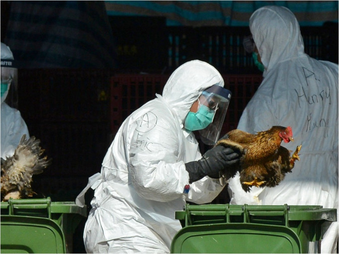 衞生防護中心密切監察內地一宗人類感染甲型禽流感（H5N6）個案。資料圖片