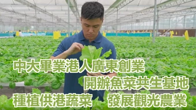 羅偉特2016年從香港中文大學畢業後，展開魚菜共生技術創業。網上圖片