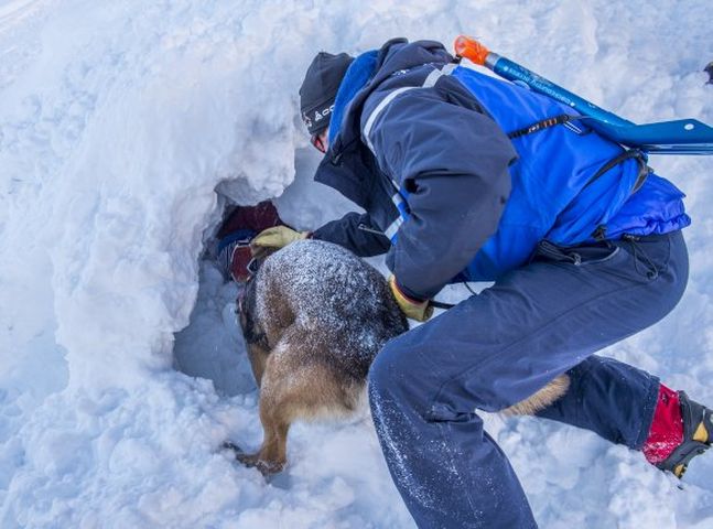 當地搜救人員帶著搜救犬抵達現場，終於成功救出男童。網圖