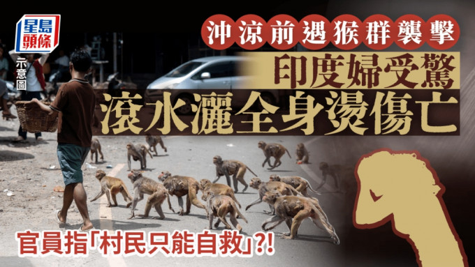 印度婦煲熱水洗澡遇猴群襲擊 受驚下燙傷全身慘死