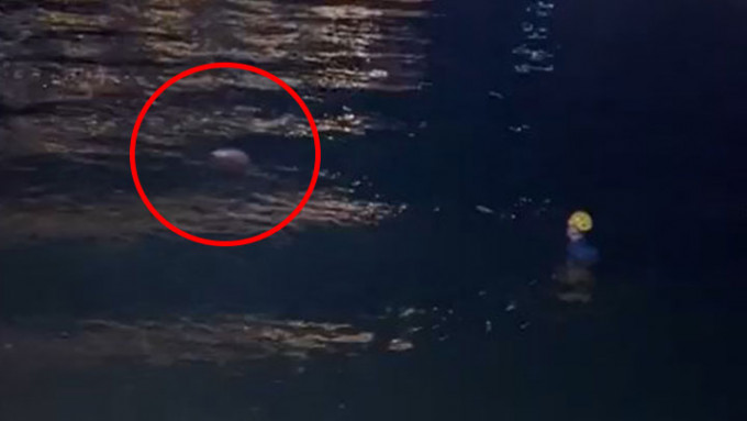 青衣城对开4至5米海面的位置有一名女子（红圈示）载浮载沉，怀疑遇溺。网上片段截图
