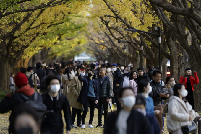 UNESCO委员会发遗产警报，呼吁撤回东京明治神宫外苑再开发计划。美联社