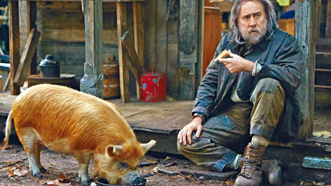 ■尼古拉斯今年事业再有起色，在新片《Pig》的演出大获好评。