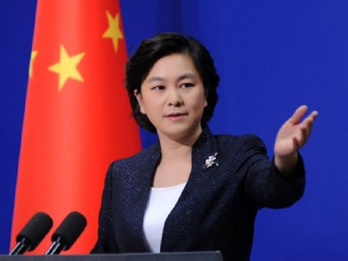 華春瑩敦促歐洲議會正視香港已經回歸中國的現實。網圖