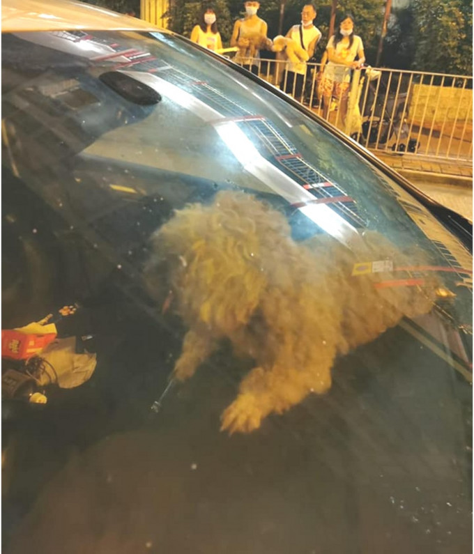 警員到場聯絡車主。香港動物報圖片