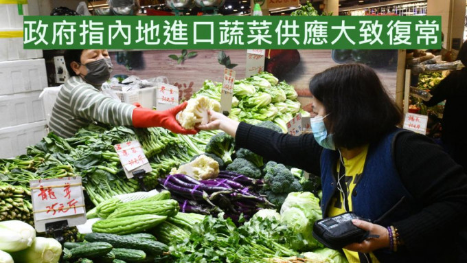政府指内地进口蔬菜供应大致复常，菜价将逐步回落。 资料图片