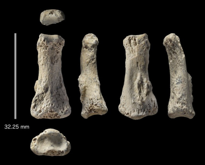 考古學家近日在阿拉伯半島發現，據稱是8萬5千年前的人類手指骨化石。