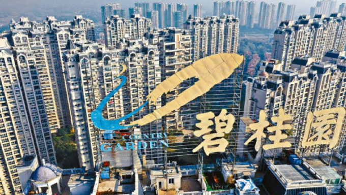碧桂園創始人楊國強家族賣飛機償債 提供3億美元無息借款