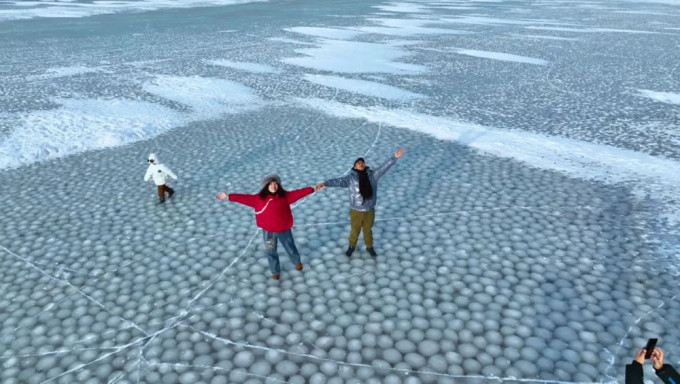 吉林洮南四海湖國家濕地公園現「冰湯圓」奇景 。