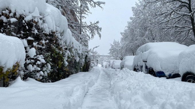 德國受到世紀暴雪侵襲，街道上鋪滿厚厚的雪。路透社