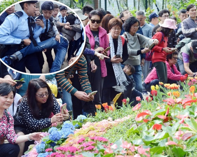 市民欣賞禮賓府內盛開燦爛的花卉。警方抬走示威者（小圖）。