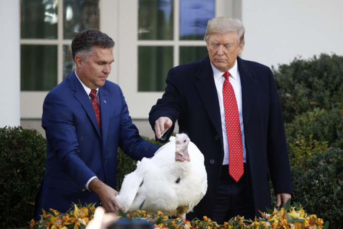 美國總統特朗普在11月26日感恩節，按照傳統「赦免」兩隻火雞，並同時調侃了民主黨的彈劾調查一番。AP