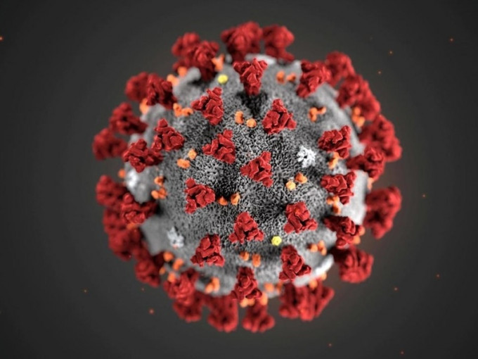 美國免疫學及微生物學教授指對抗新冠病毒的免疫力非百分百。網圖