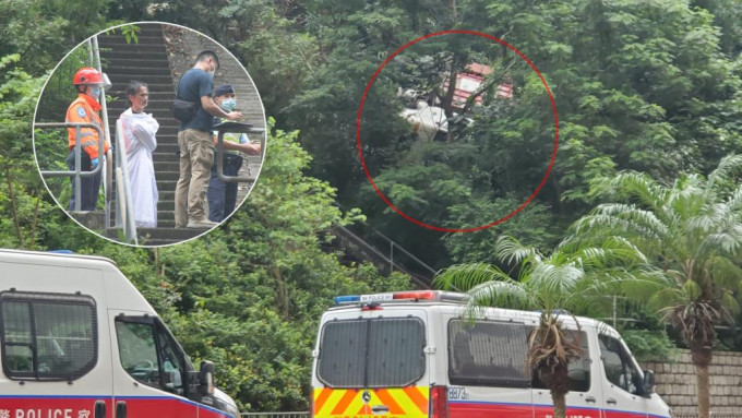 货车溜后堕落山坡。