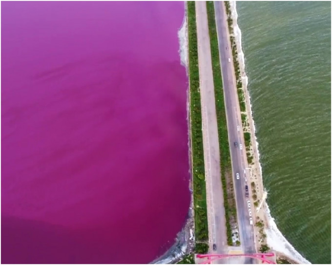 跨湖大道两侧的盐湖水面，一侧呈绿色，一侧呈玫瑰红。网上截图