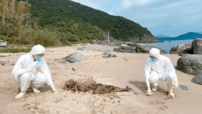 香港海洋公园保育基金公布两宗鲸豚搁浅个案。