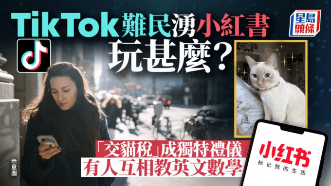 TikTok難民湧小紅書玩甚麼？ 「交貓稅」成獨特禮儀 有人互相教英文數學