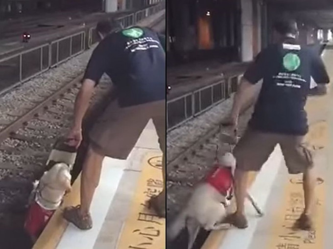 男子将导盲犬丢落路轨，再拉回月台。网上影片截图