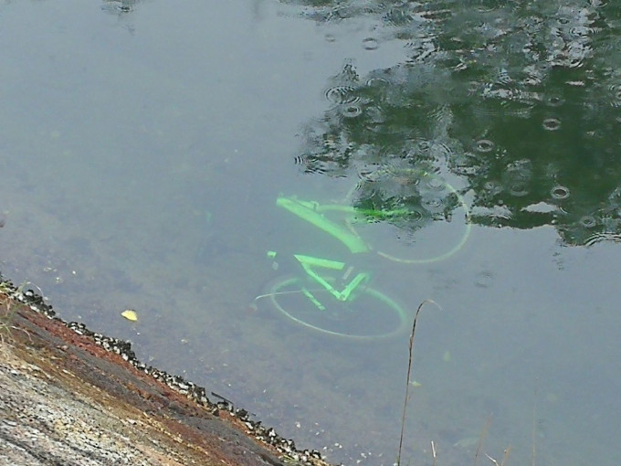 共單車服務於今年4月在本港推出，至今已有6架單車先後被擲入河。資料圖片