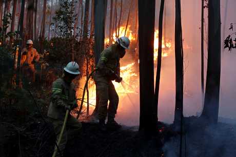 当地中部森林大火造成最少61人丧生。AP